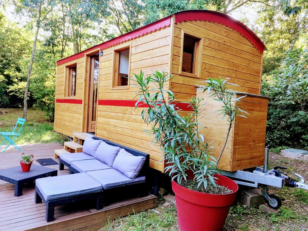 Bed and Breakfast Nimes En Garrigues Exterior foto